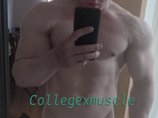 Collegexmuscle