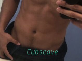 Cubscave