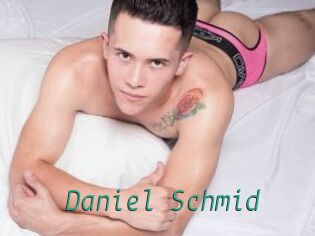 Daniel_Schmid