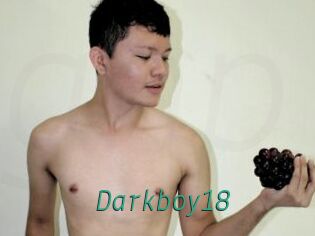 Darkboy18