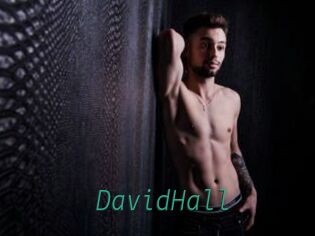 DavidHall