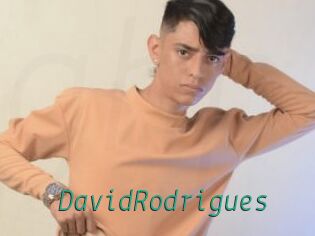 DavidRodrigues