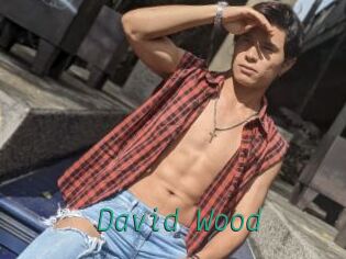 David_Wood