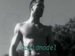 Davidmodel