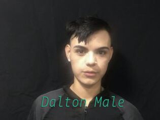 Dalton_Male