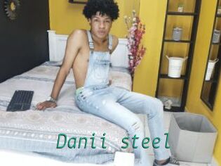 Danii_steel