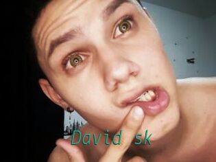 David_sk