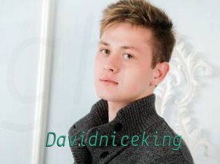 Davidniceking