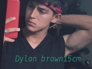 Dylan_brown15cm