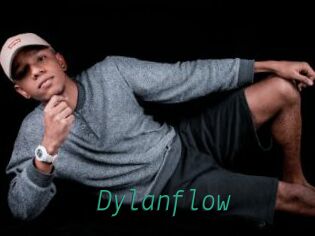 Dylanflow