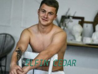 ELFIN_CEDAR