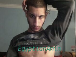 EgyptianAmin