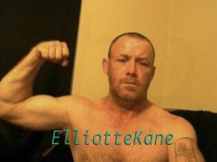 Elliotte_Kane