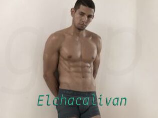 Elchacalivan