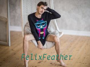 FelixFeather