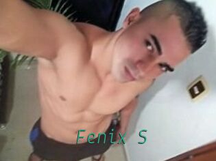 Fenix_S