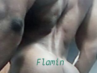 Flamin