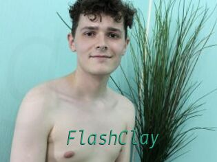 FlashClay