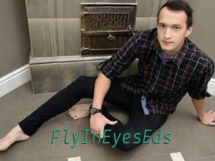 FlyInEyesEds