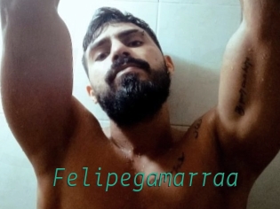 Felipegamarraa