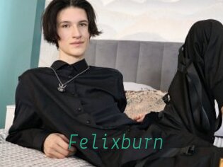 Felixburn