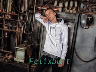 Felixburt