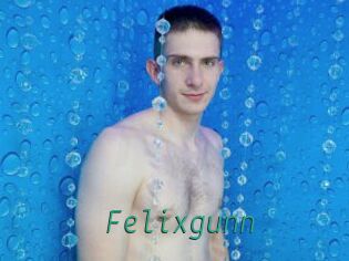 Felixgunn