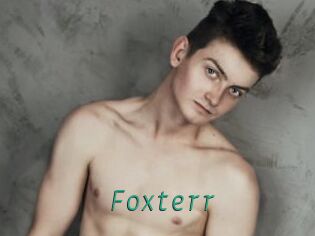 Foxterr