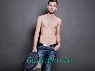 GavinNorth