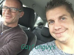 Gayfunguys