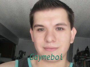 Gaymeboi