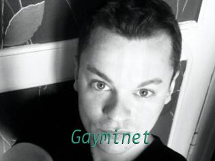 Gayminet