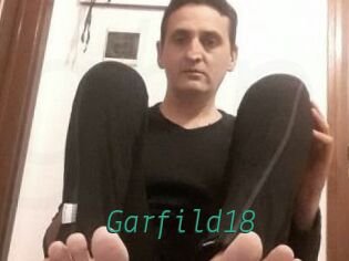 Garfild18