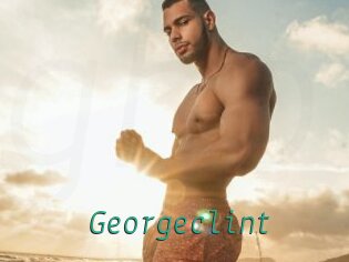 Georgeclint