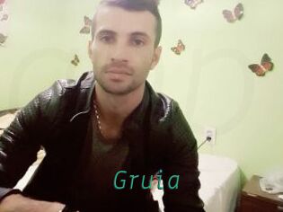 Gruia