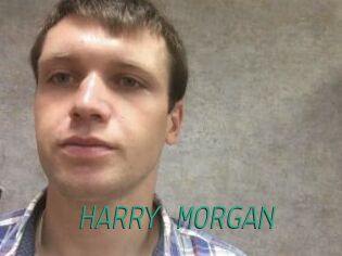 HARRY_MORGAN