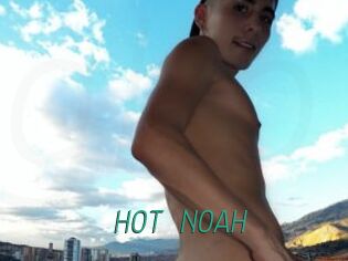 HOT_NOAH