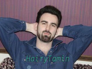 HairyTamin