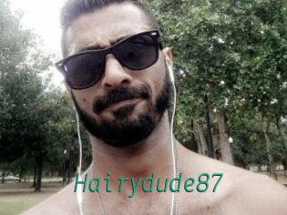 Hairydude87