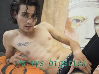 Harrys_bigstick