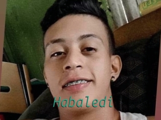 Habaledi