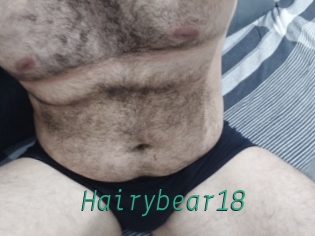 Hairybear18