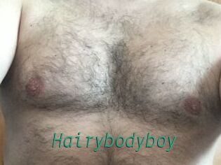 Hairybodyboy