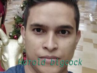 Harold_bigcock