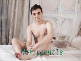 Harrygentle