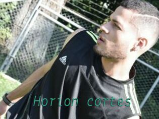 Horion_cortes