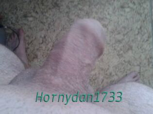 Hornydan1733