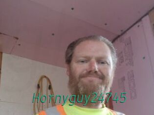 Hornyguy24745