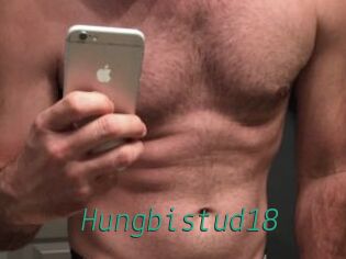 Hungbistud18