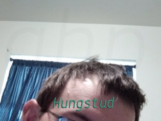 Hungstud